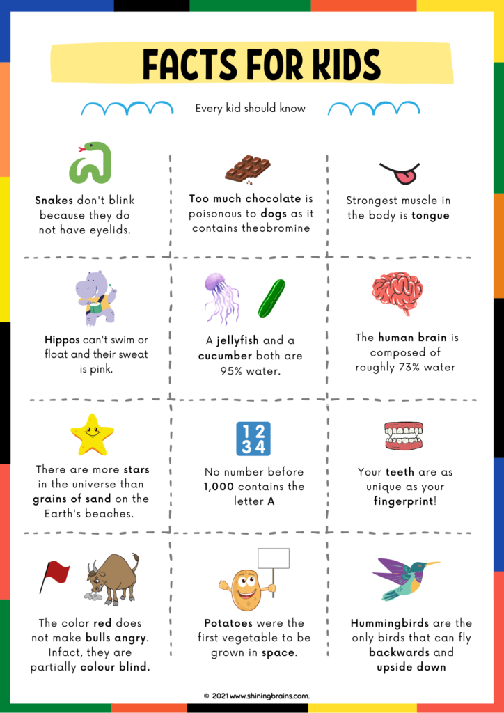 Fun Facts for Kids 30+ facts for kids Every kid should know