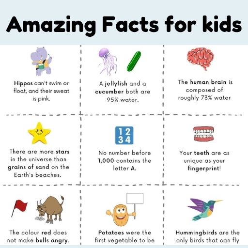 12-best-fun-facts-for-kids-images-fun-facts-for-kids-facts-for-kids-fun