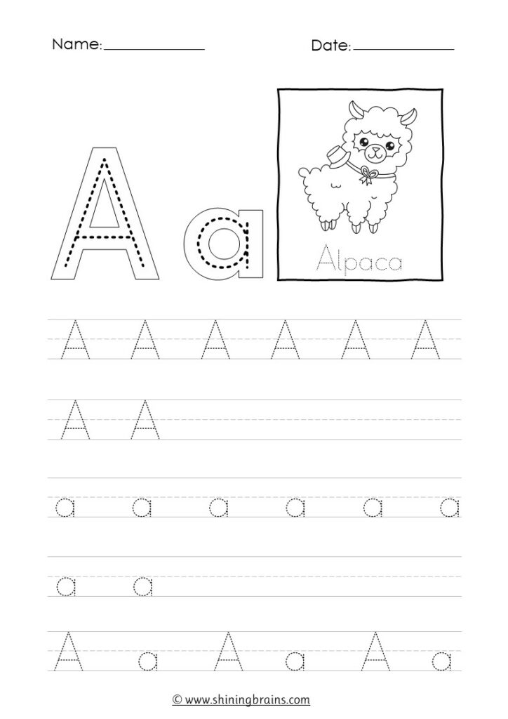 letter a tracing worksheets | capital and small alphabet a tracing worksheet