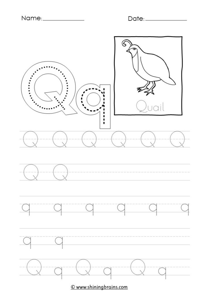 tracing letter q worksheet | alphabet q