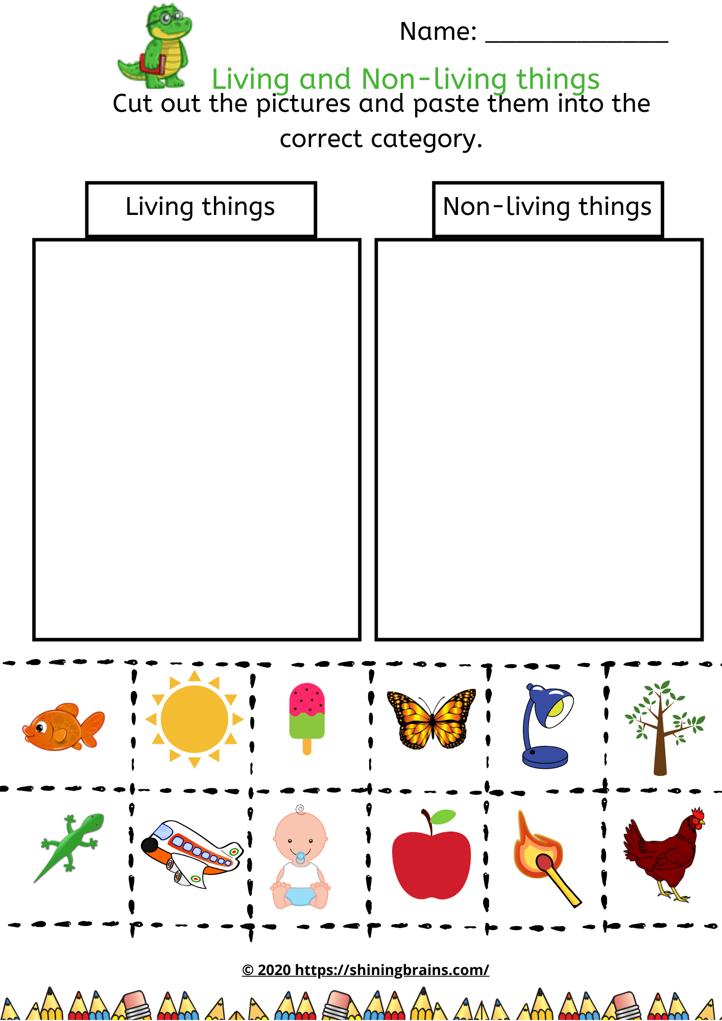 Living And Non Living Things Worksheet For Grade 2 Ir Vrogue Co   2 4 