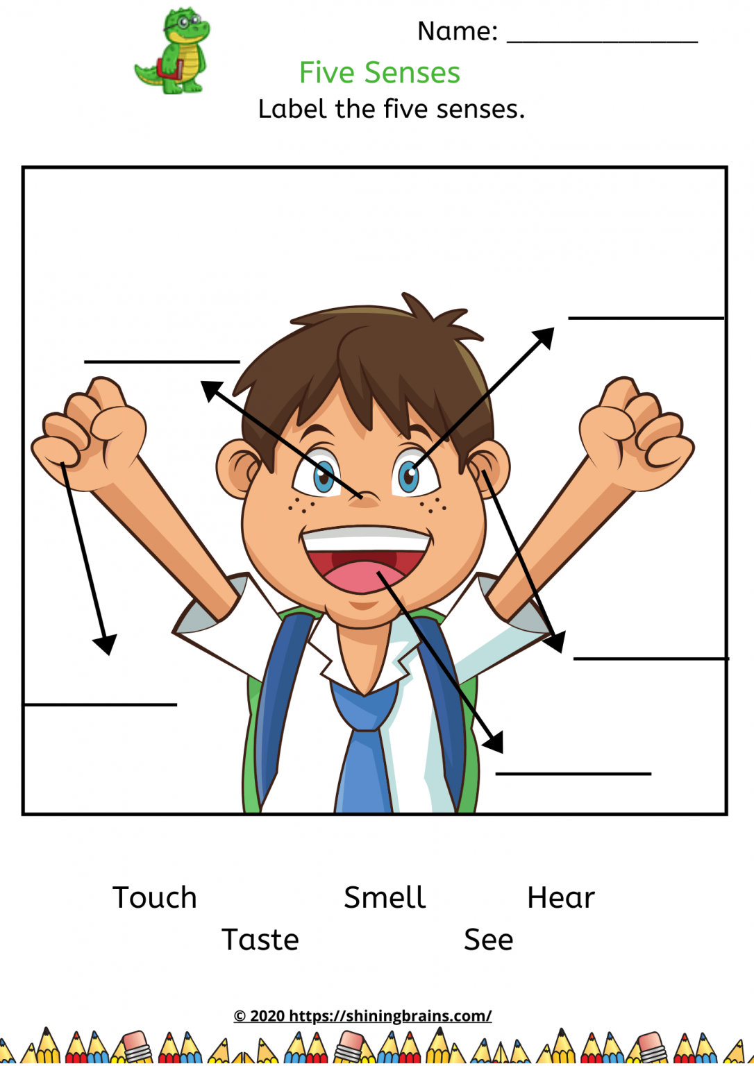 Five Senses Worksheets Free Science Worksheets ShiningBrains