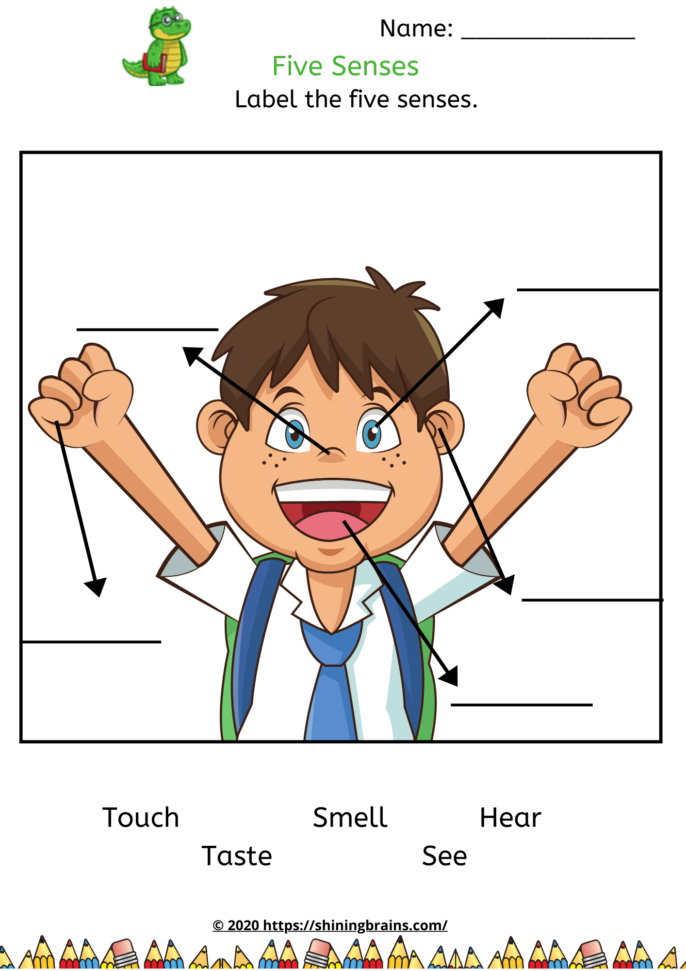 senses-worksheet-five-senses-ultimate-pack-five-senses-preschool-five