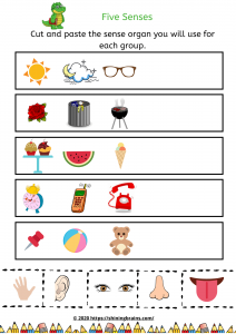 Kindergarten science worksheet cut and paste activity