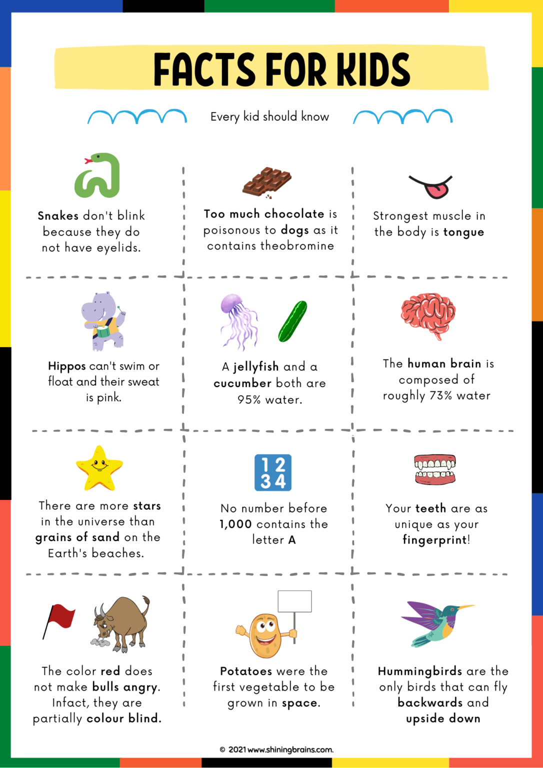 Random Facts for kids Free Fun Facts printable Shining Brains