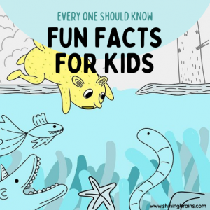 Fun facts for kids