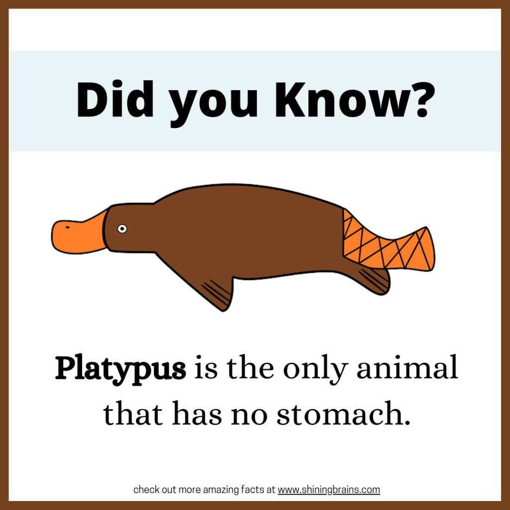 did you know facts about animals