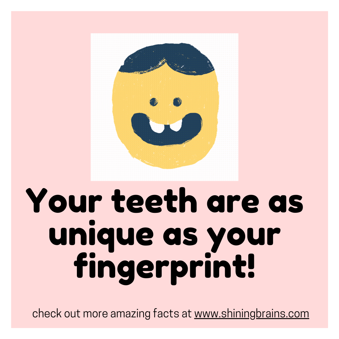 Fun Facts for Kids | 30+ facts for kids - Every kid should know