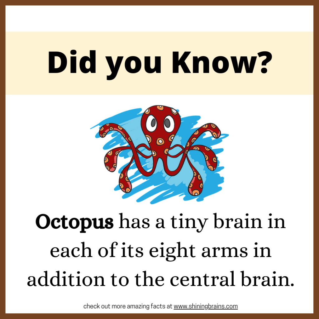 fun-facts-for-kids-30-facts-for-kids-every-kid-should-know