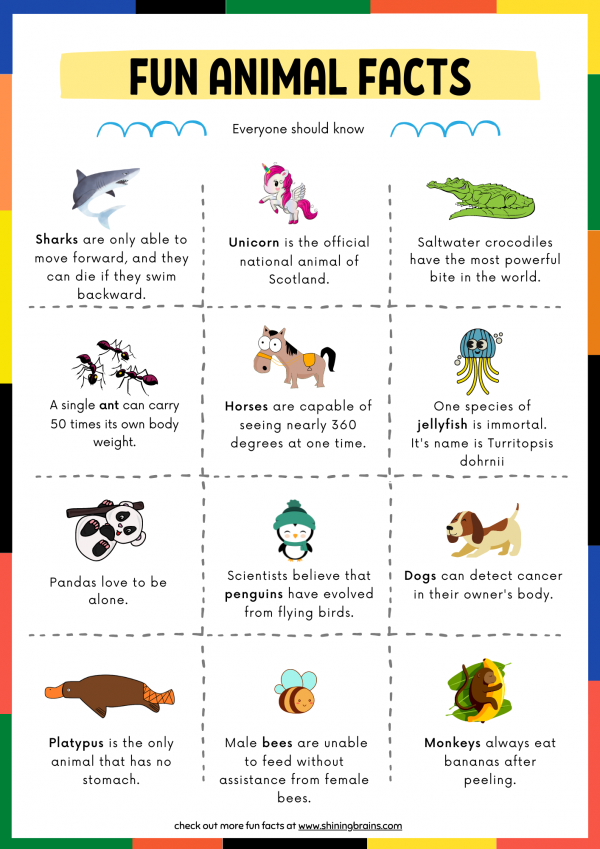 Animal Facts Sheets For Kids