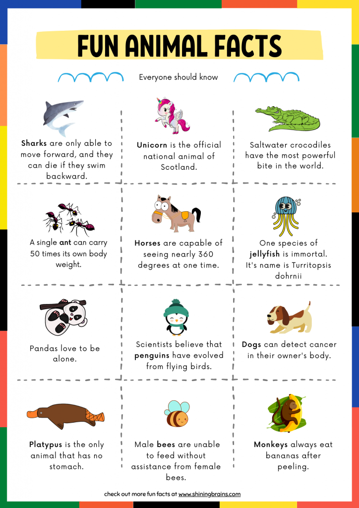 12 fun facts about animals for kids free printable shining brains